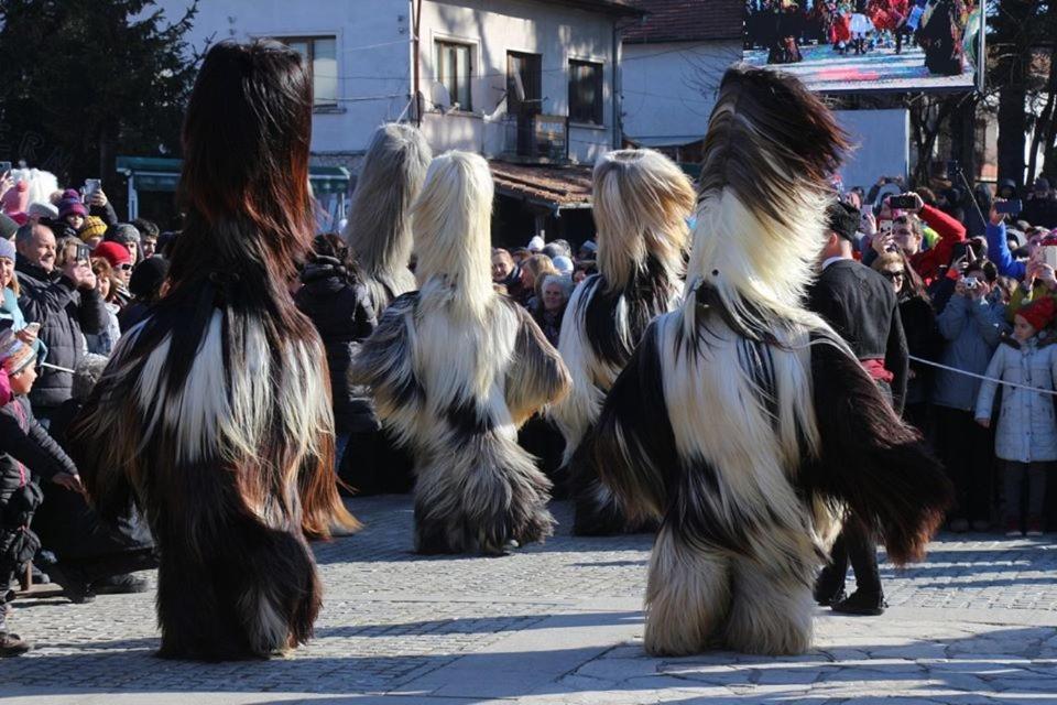 Hotel Alpin - 91 Bansko Eksteriør billede