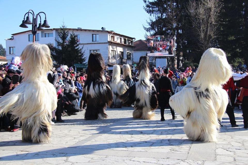 Hotel Alpin - 91 Bansko Eksteriør billede