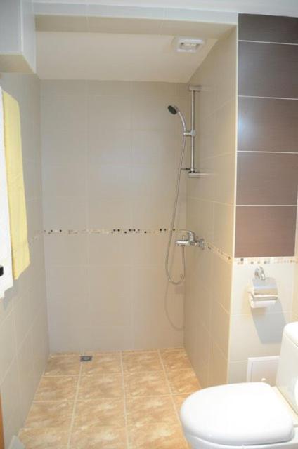 Hotel Alpin - 91 Bansko Eksteriør billede