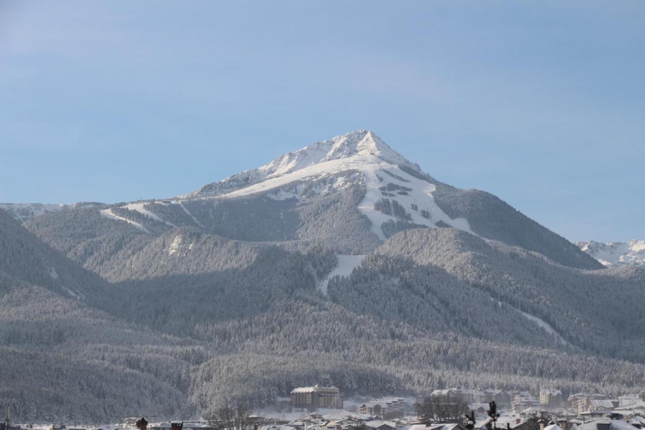 Hotel Alpin - 91 Bansko Eksteriør billede